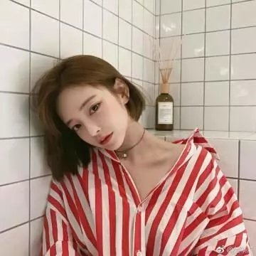 远方的狗吠声